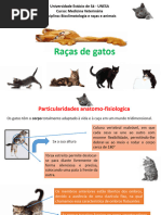 Classificação do Gato Doméstico: Felis Catus | PDF | Gatos | Ecologia