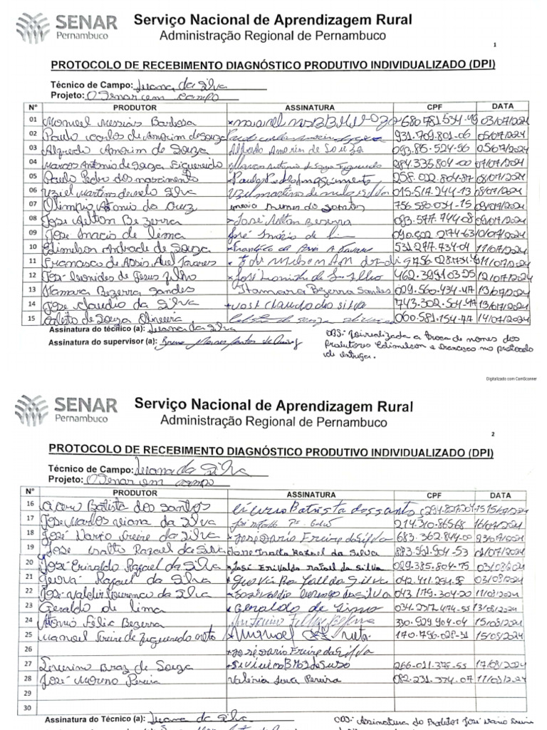 Protocolo Dpi | PDF