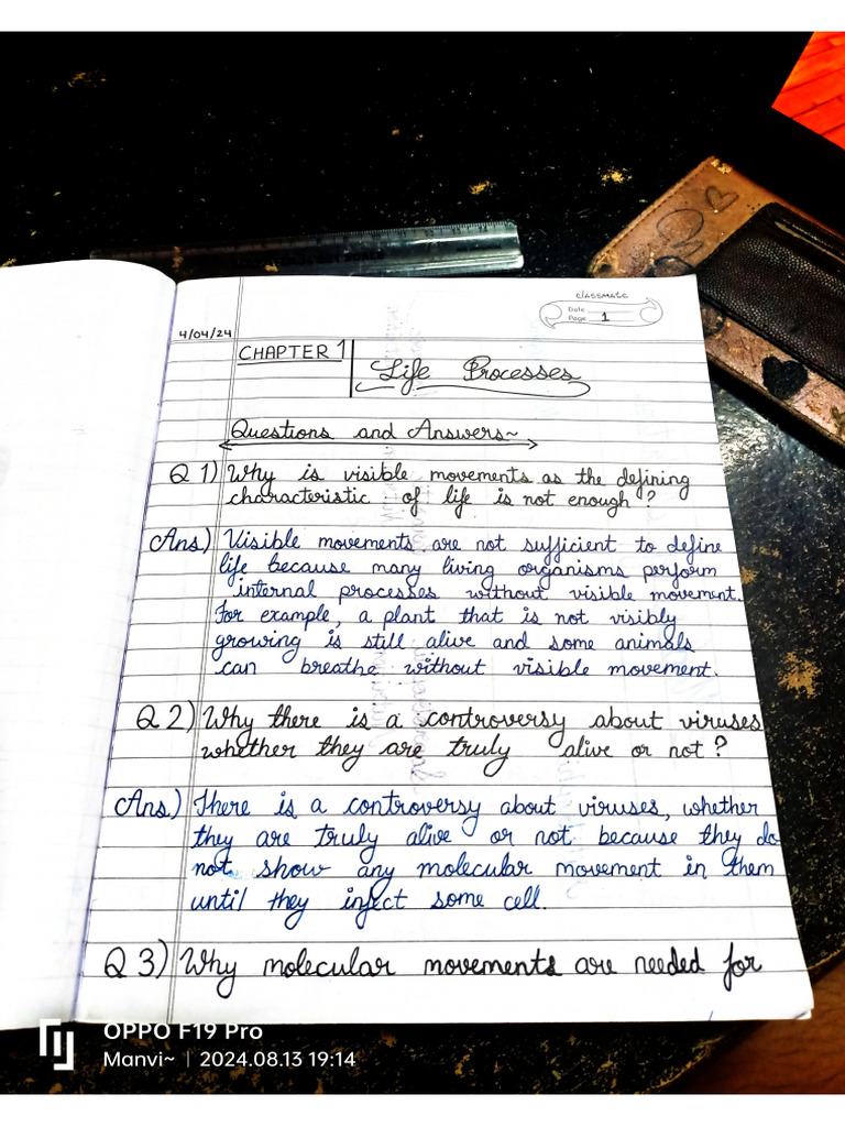 Document 69 | PDF