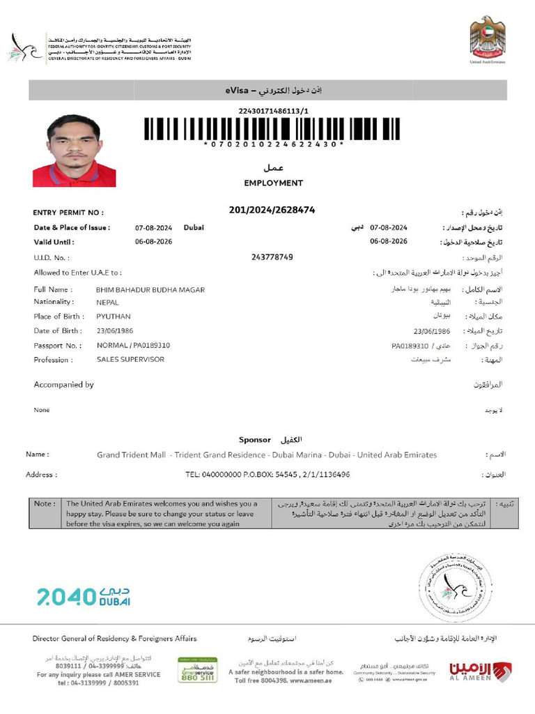 E-VISA Template | PDF