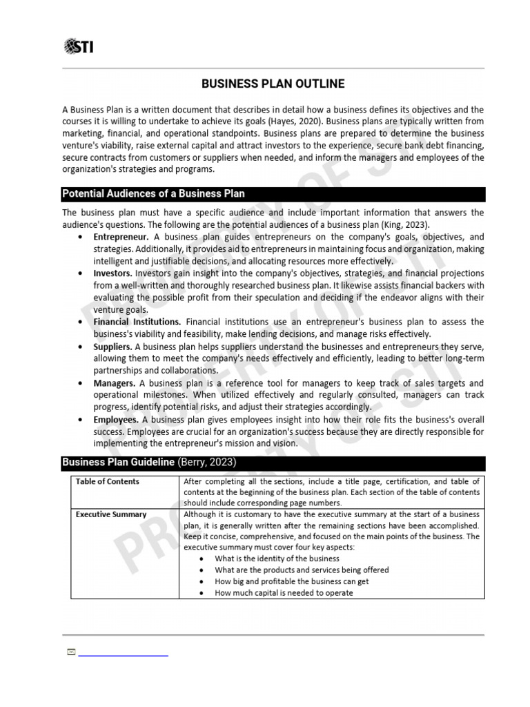 iLS Business Plan Guidelines | PDF