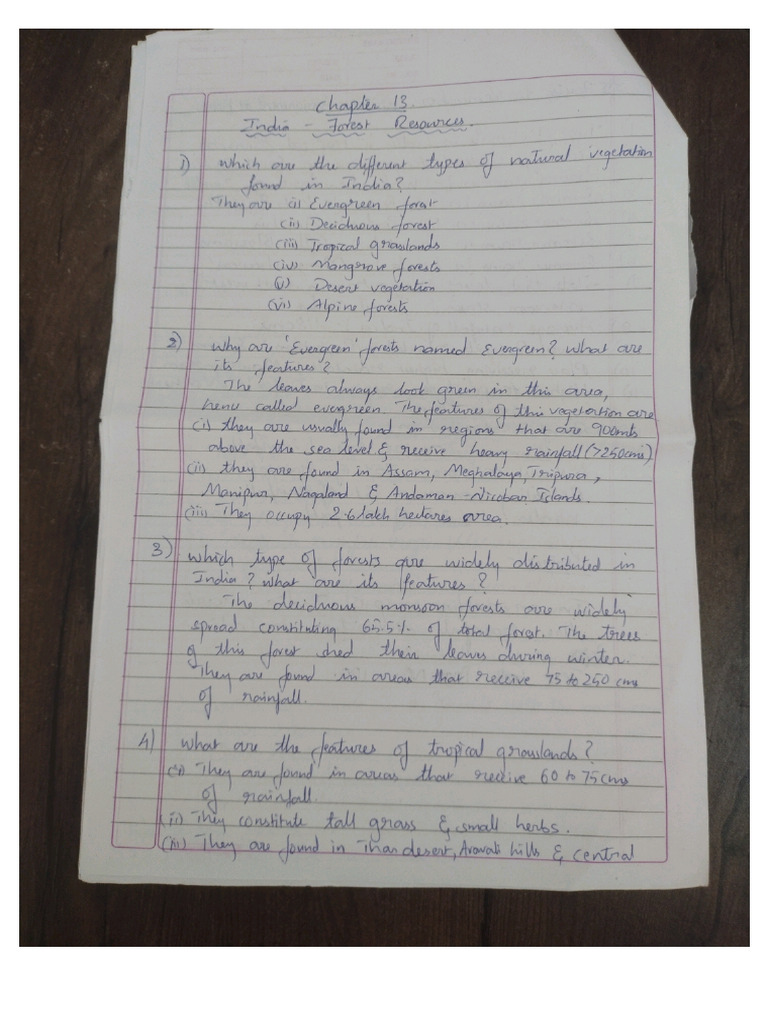 Forest Resources Pdf