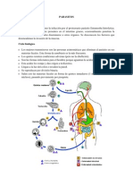 Parasitos