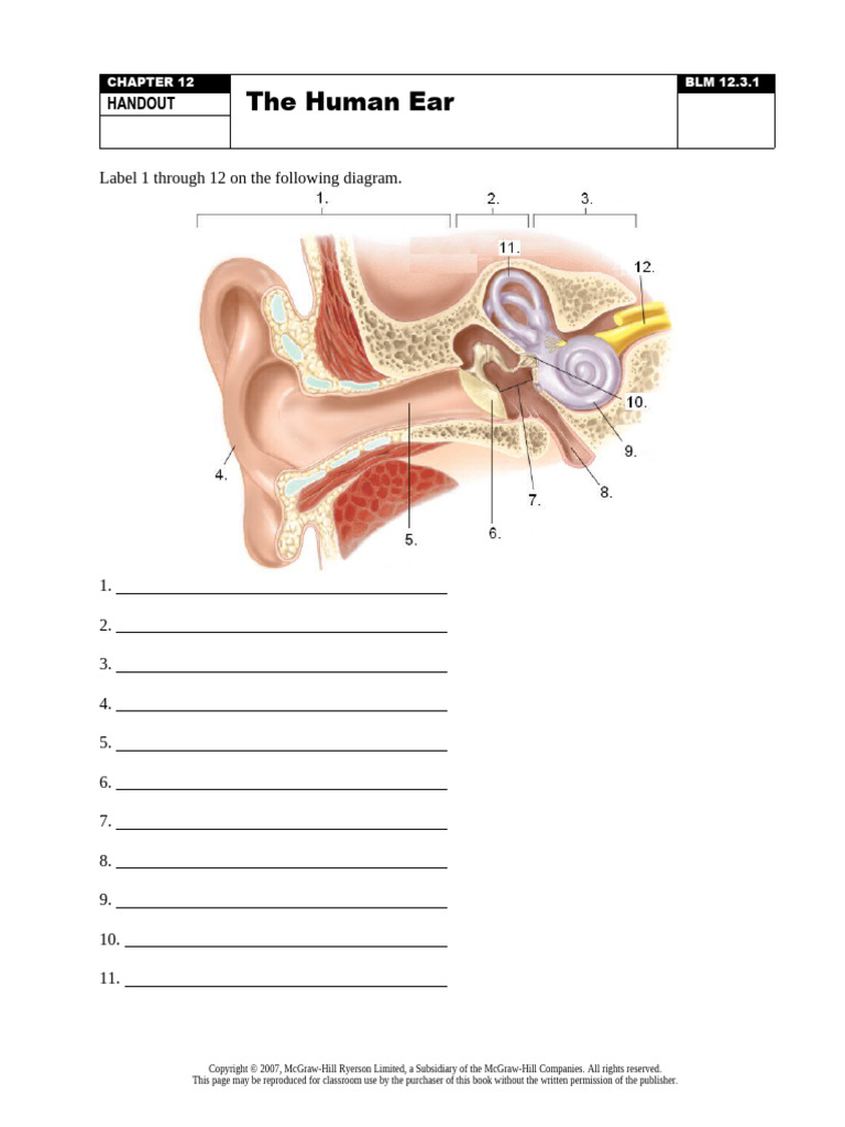 12.3.1 The Human Ear - HAND | PDF