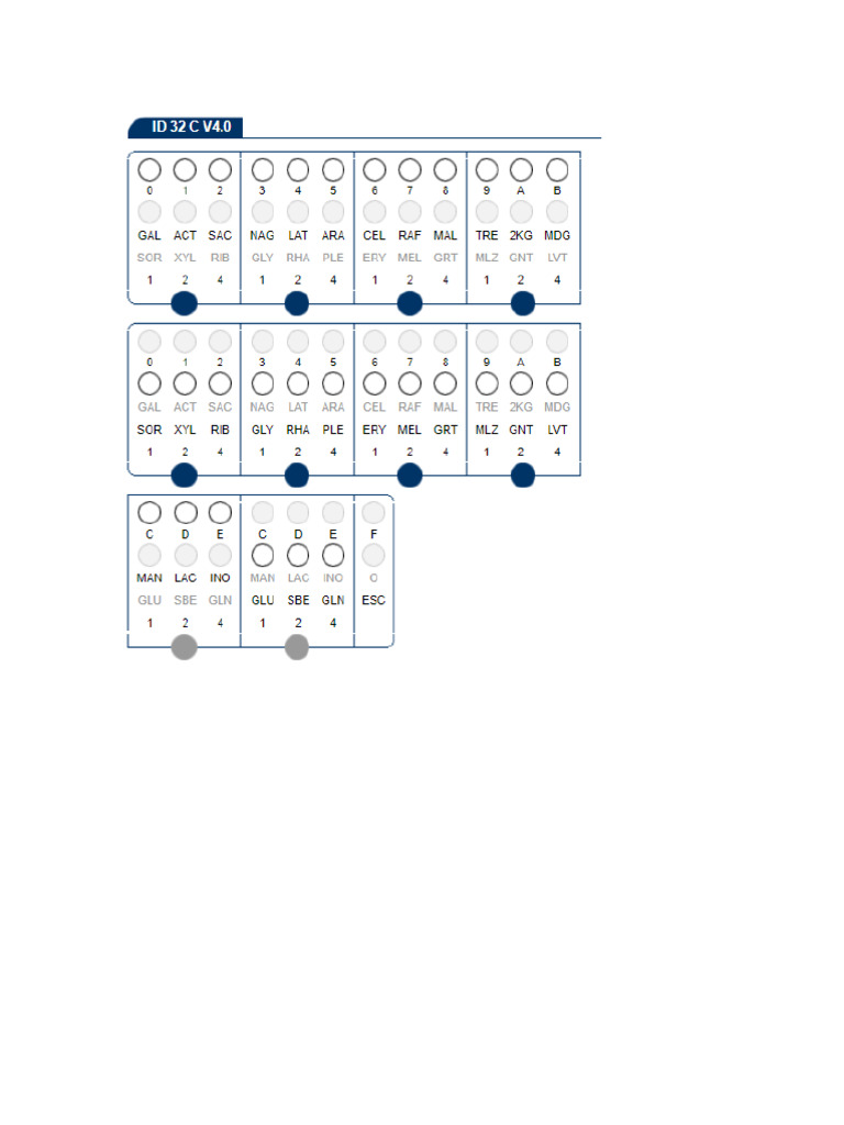 Formato ID 32 C | PDF