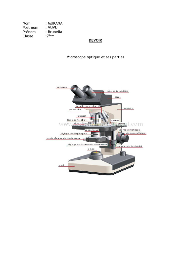 Microscope optique et ses parties | PDF