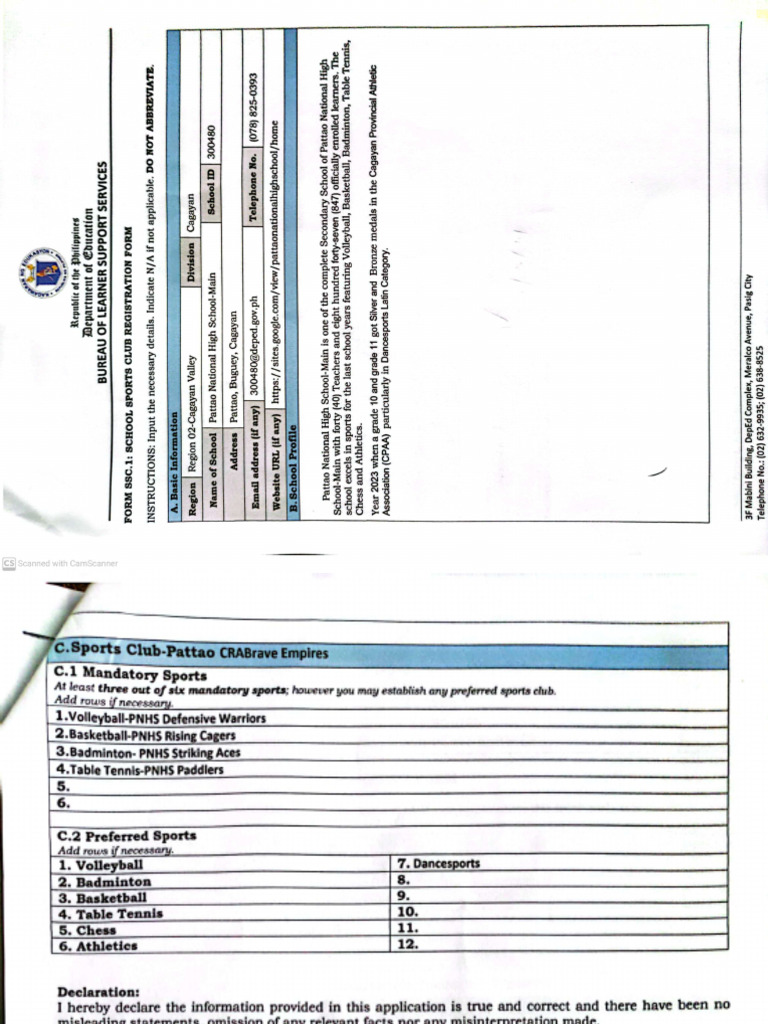 FORM-SSC.1-Pattao NHS-Pattao CRABrave Empires | PDF