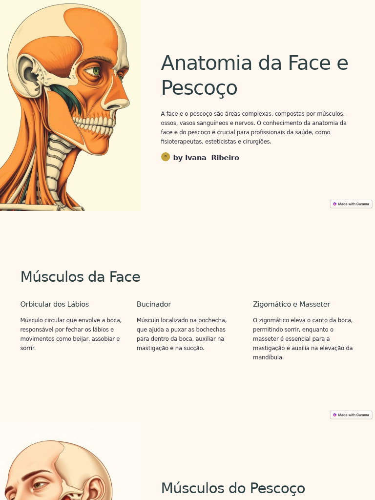Anatomia Da Face E Pescoco Pdf