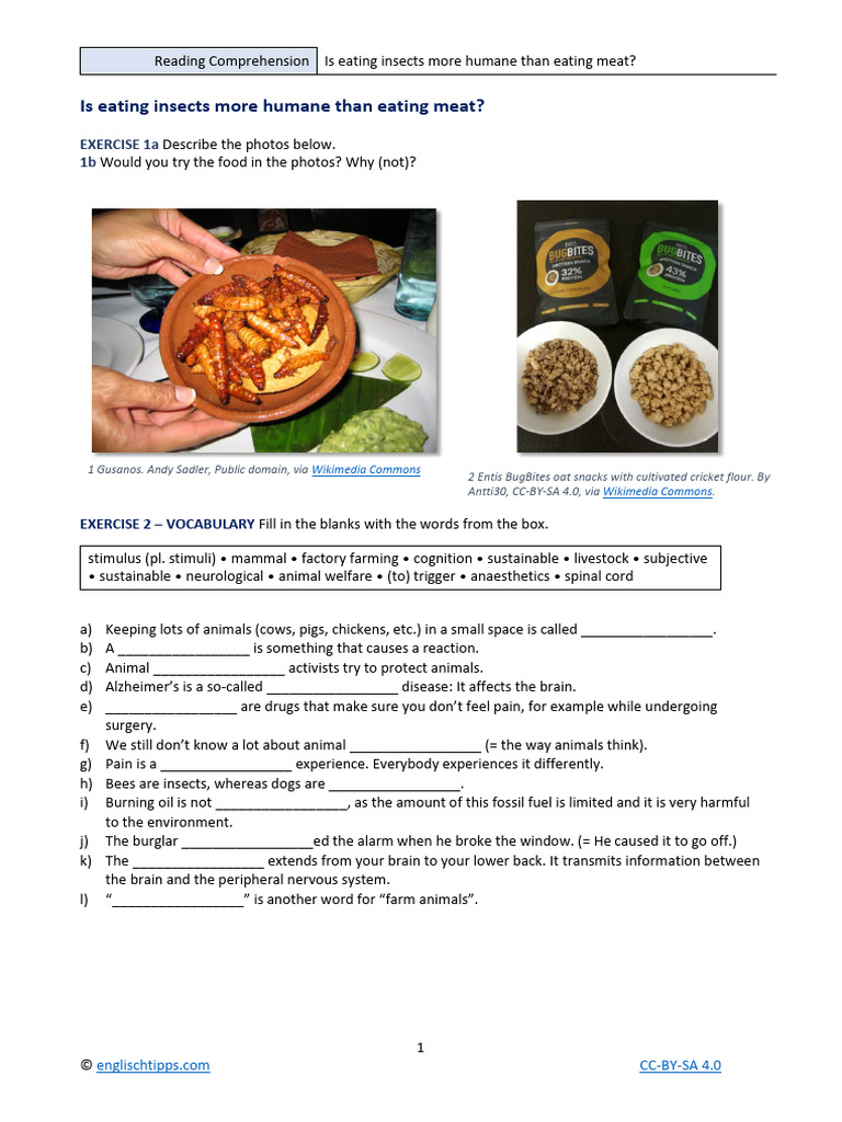 Is Eating Insects More Humane Than Eating Meat | PDF