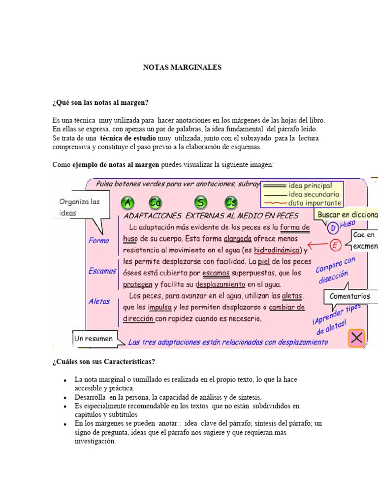 Notas Marginales: Definición y Ejemplos | PDF | Habilidades de estudio ...