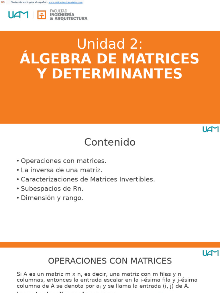 Unidad 2 - Algebra de Matrices y Determinantes | PDF