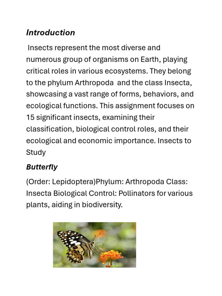 Butterfly | PDF