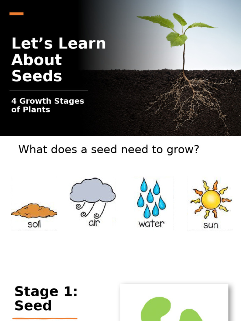Growing plants 2 | PDF