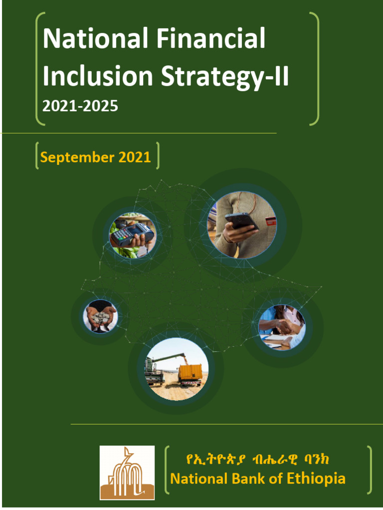 National Financial Inclusion Stratgy II 2021 2025 | PDF