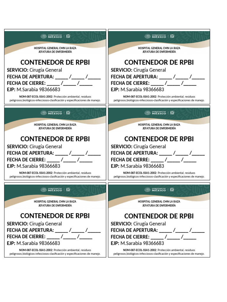 Formato Rpbi | PDF