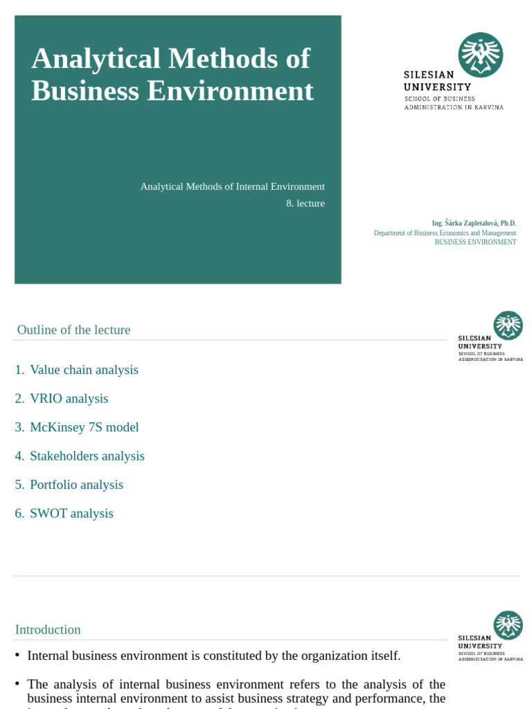 Internal Business Environment Analysis Methods | PDF | Value Chain ...