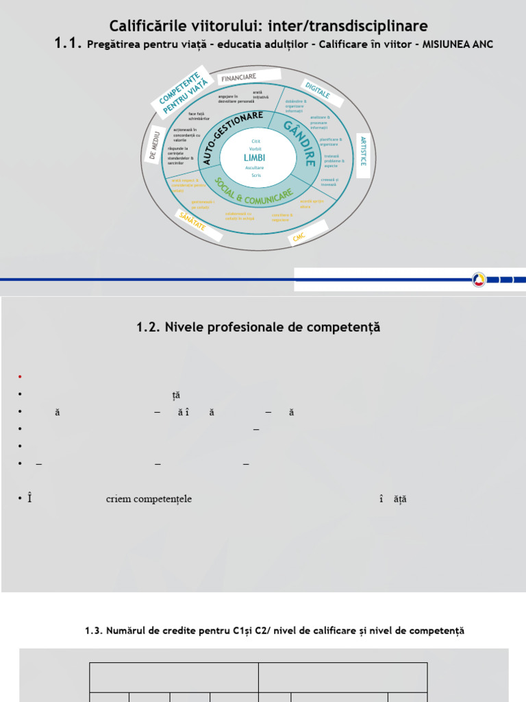 Prezentare Competențe | PDF