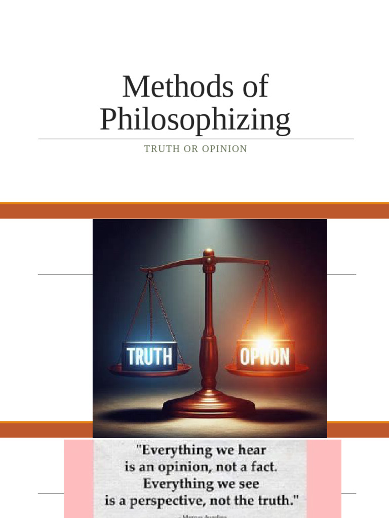 Methods of Philosophizing | PDF