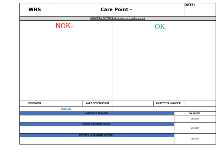 PNT-F-002 Care Point TEMPLATE | PDF