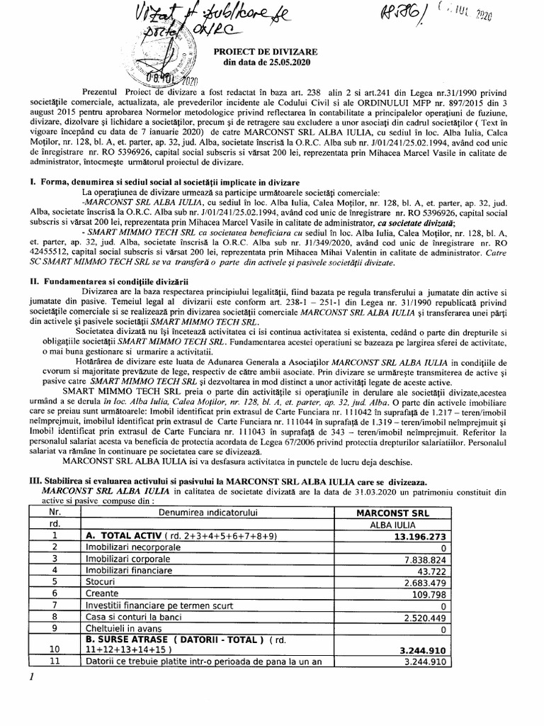 Exemplu Divizare Societate | PDF