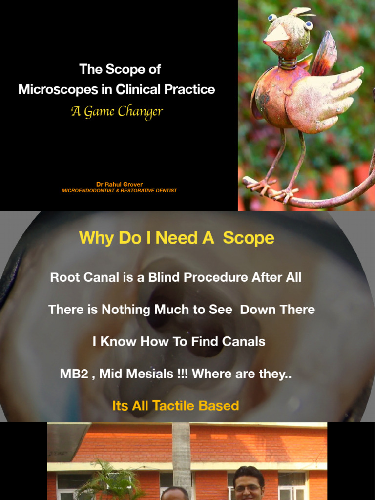 Microscopes | PDF