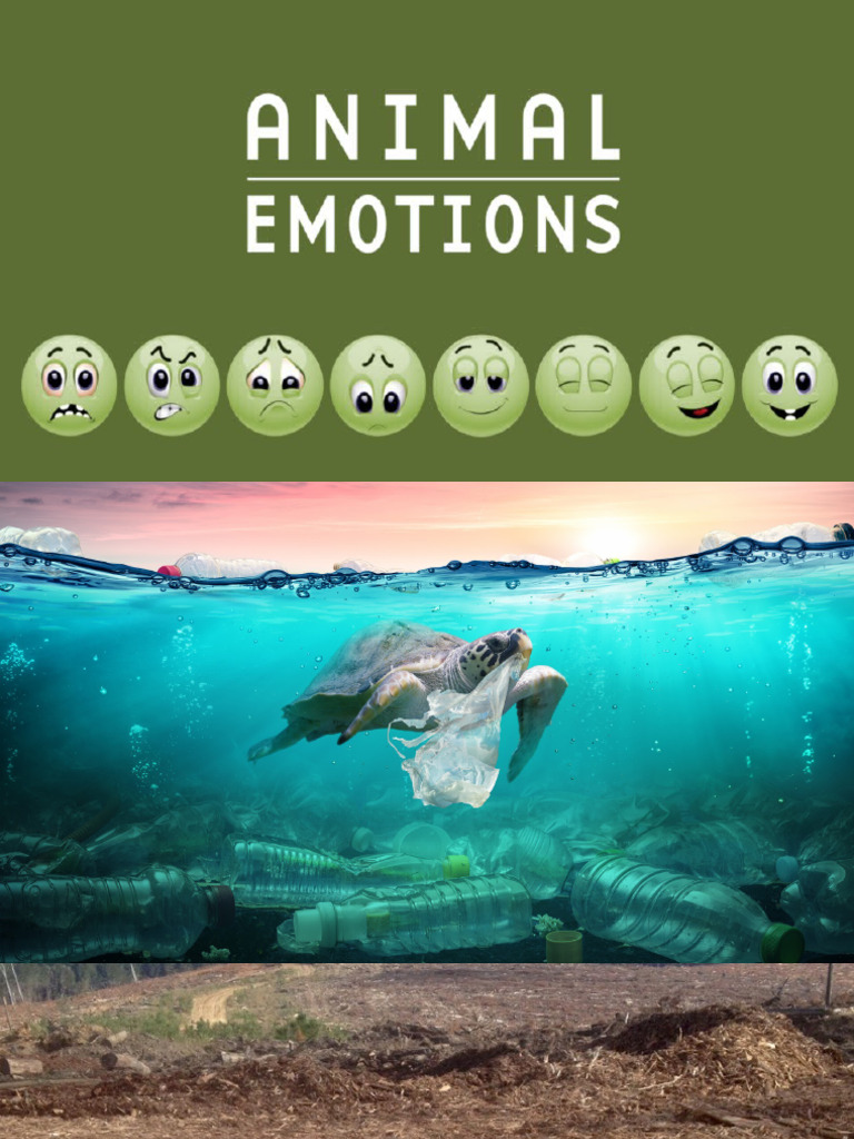 Animal Emotions | PDF