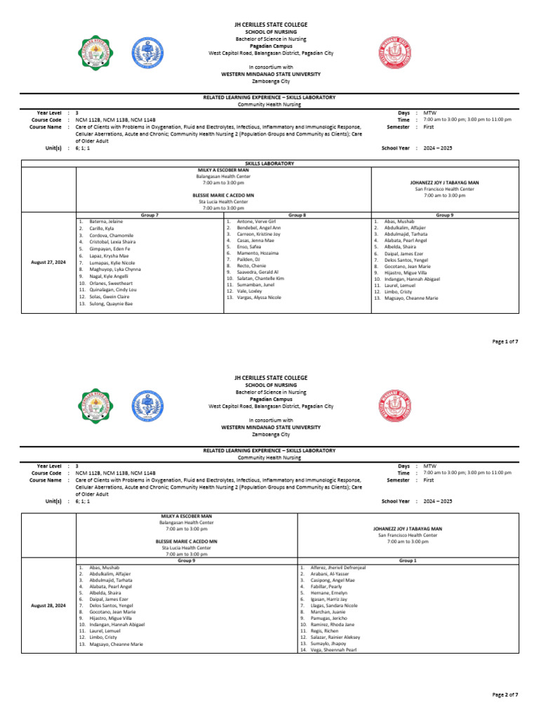 Level 3 1st Sem 2024 2025 Chn Skills Lab Pdf