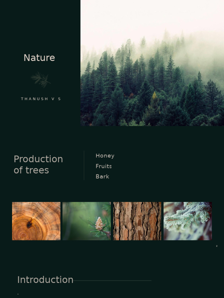 Pine Design | PDF