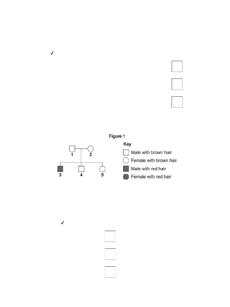 Inheritance 1 3 2 pdf