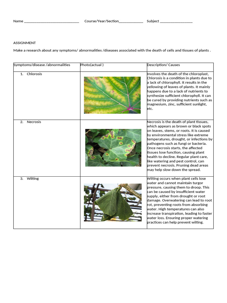 Assignment Ac 6 | PDF