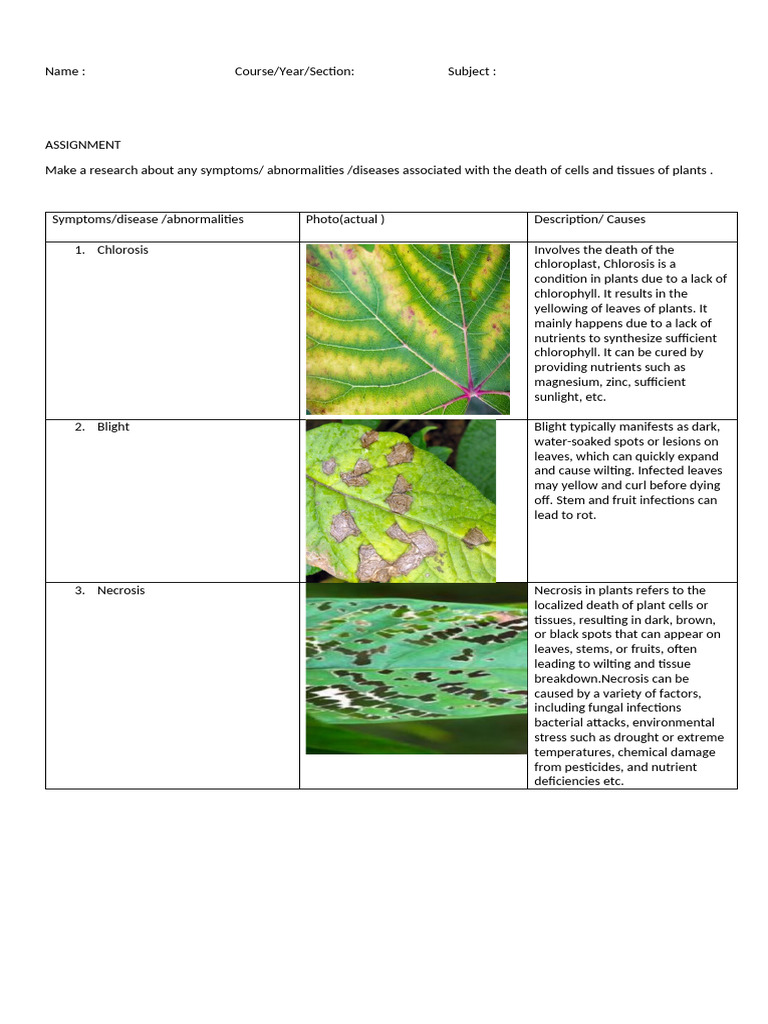 Assignment Ac 6 | PDF