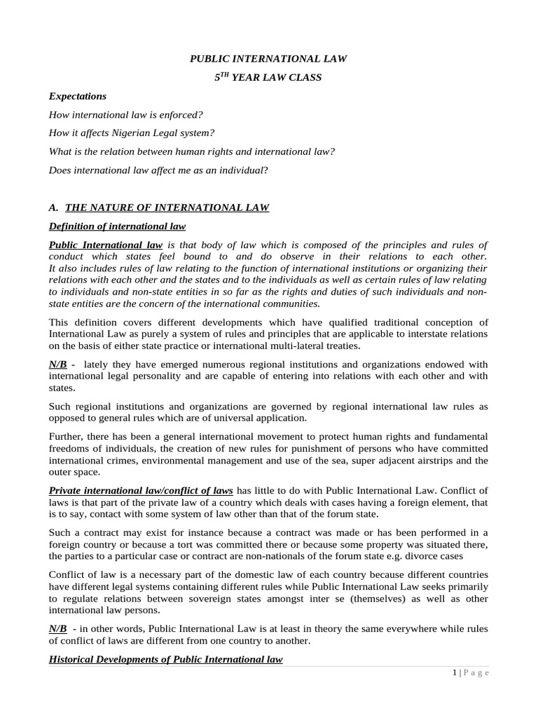 Understanding Public International Law | PDF | International Law | Politics