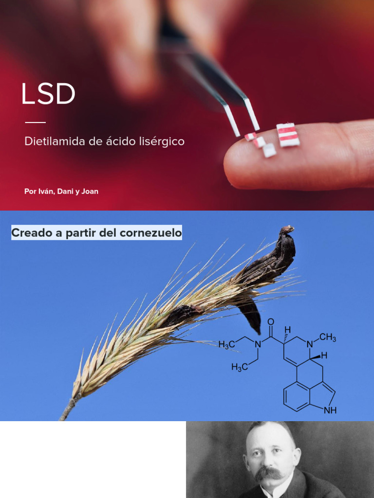 Efectos y riesgos del LSD en la salud | PDF | Alucinógeno | Psicosis