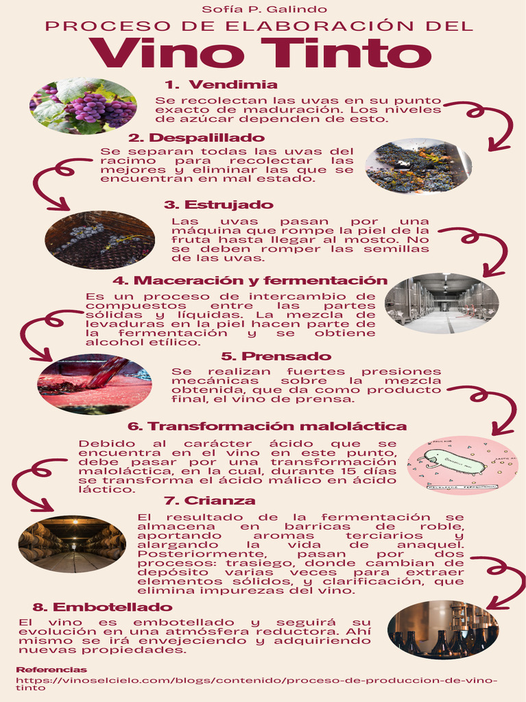 Enología Infografía Vino Tinto Sofía P. Galindo PDF