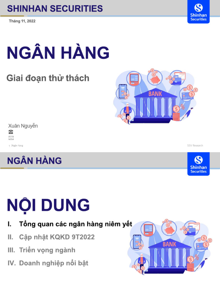 Banking Sector - VN3 | PDF