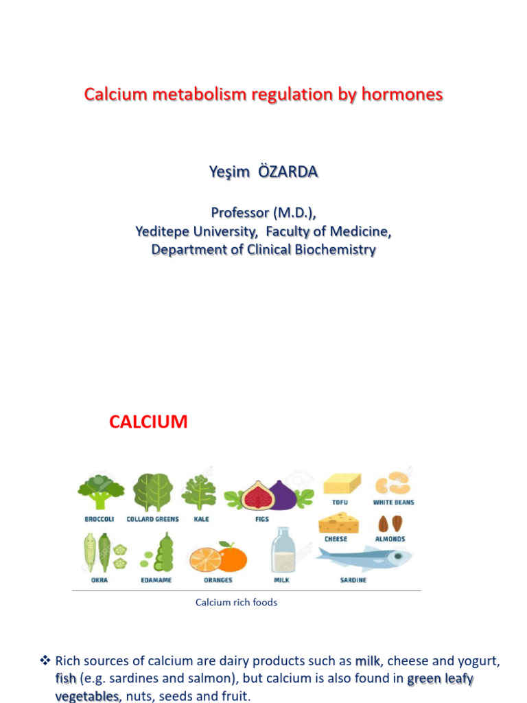 Calcium Metabolism Regulation by Hormones | PDF