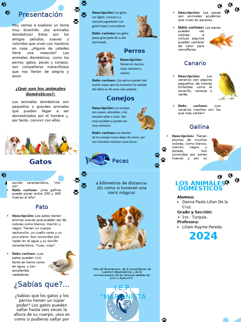 Triptico Animales Domesticos | PDF