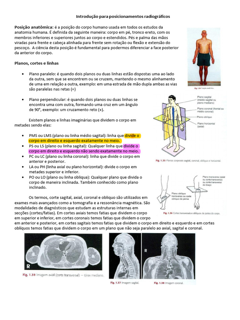 posicionamentos-radiogr-ficos-do-corpo-humano-pdf-radiografia
