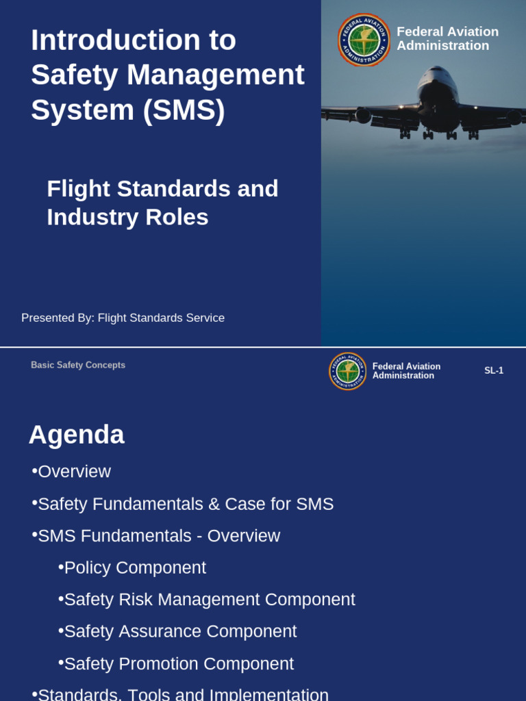 SMS Intro Rev 1-16-09b | PDF