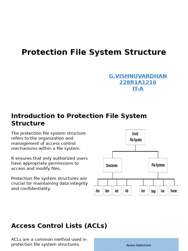 Protection File System Structure | PDF