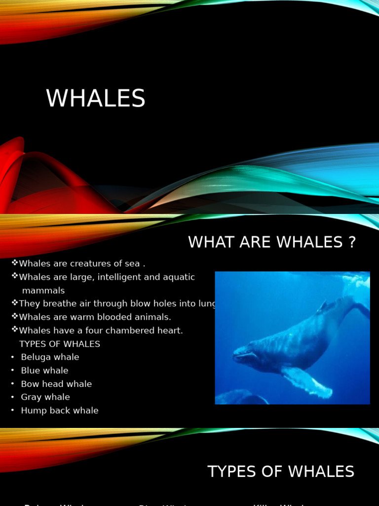 Understanding visual data 7
