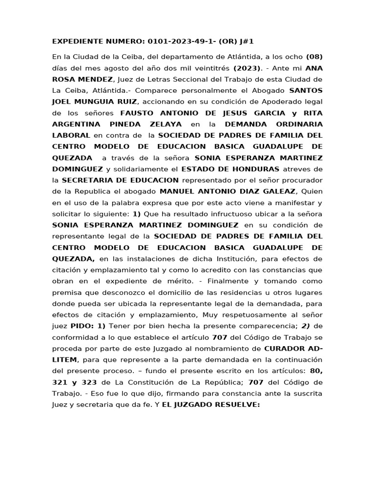 Curador Sonia Esperanza Martinez Dominguez Pdf