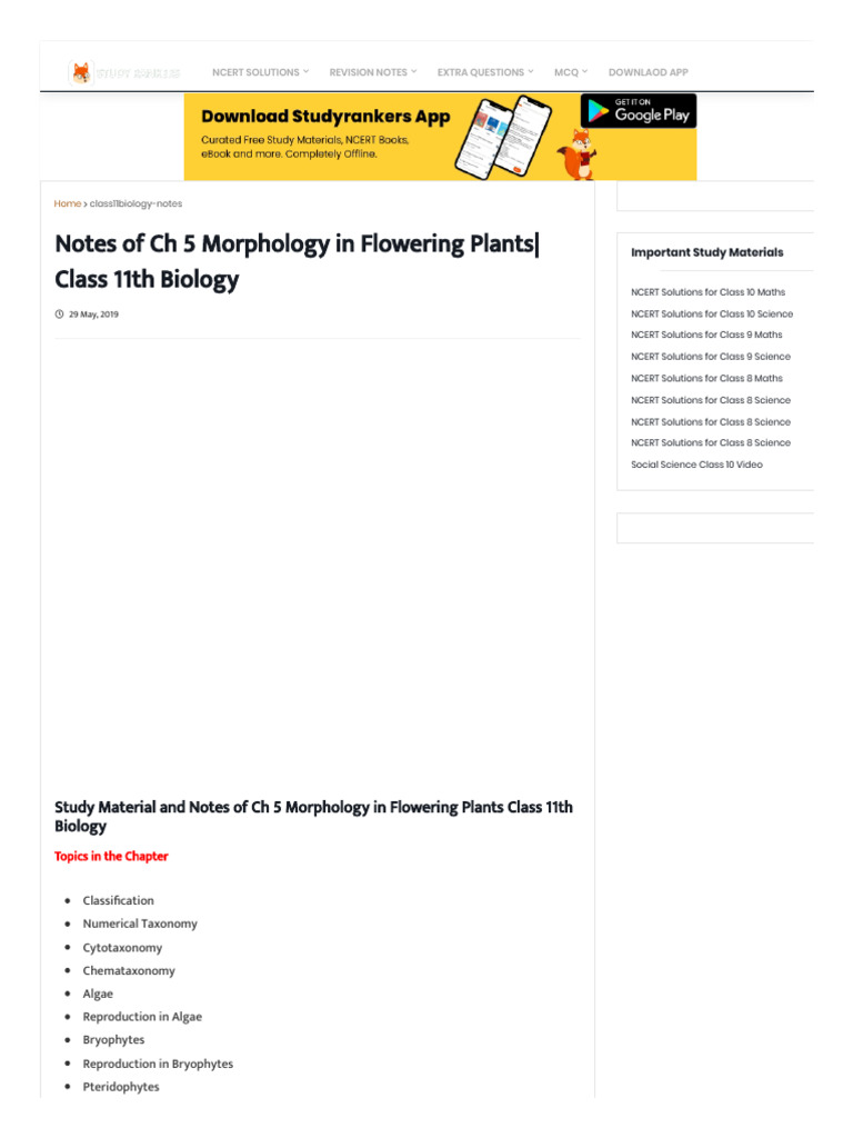 Morphology of Flowering Plants Notes | PDF | Leaf | Science & Mathematics