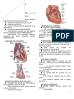 Aparato Cardiovascular