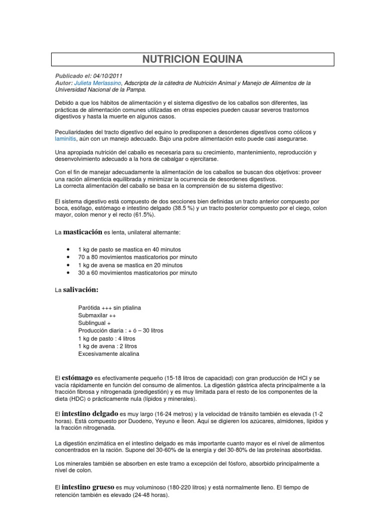 Nutricion Equina PDF Digestión Tejido adiposo