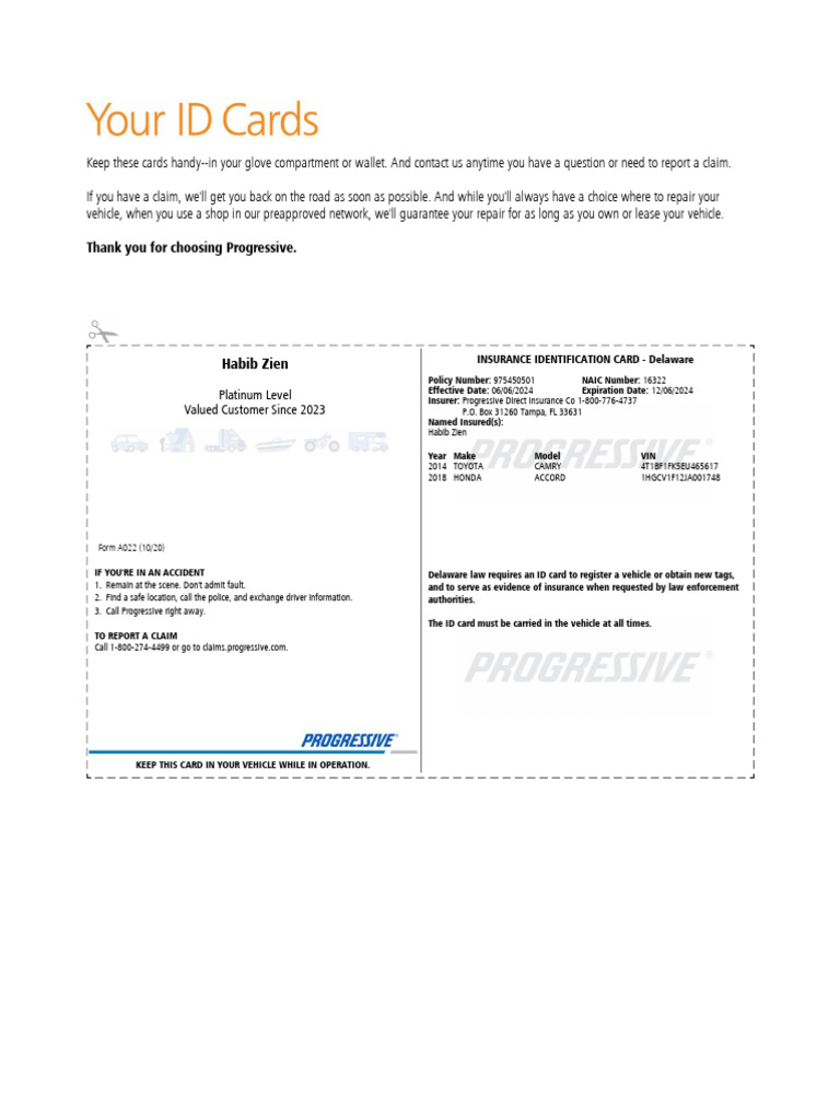 ID Cards For Policy 975450501 | PDF