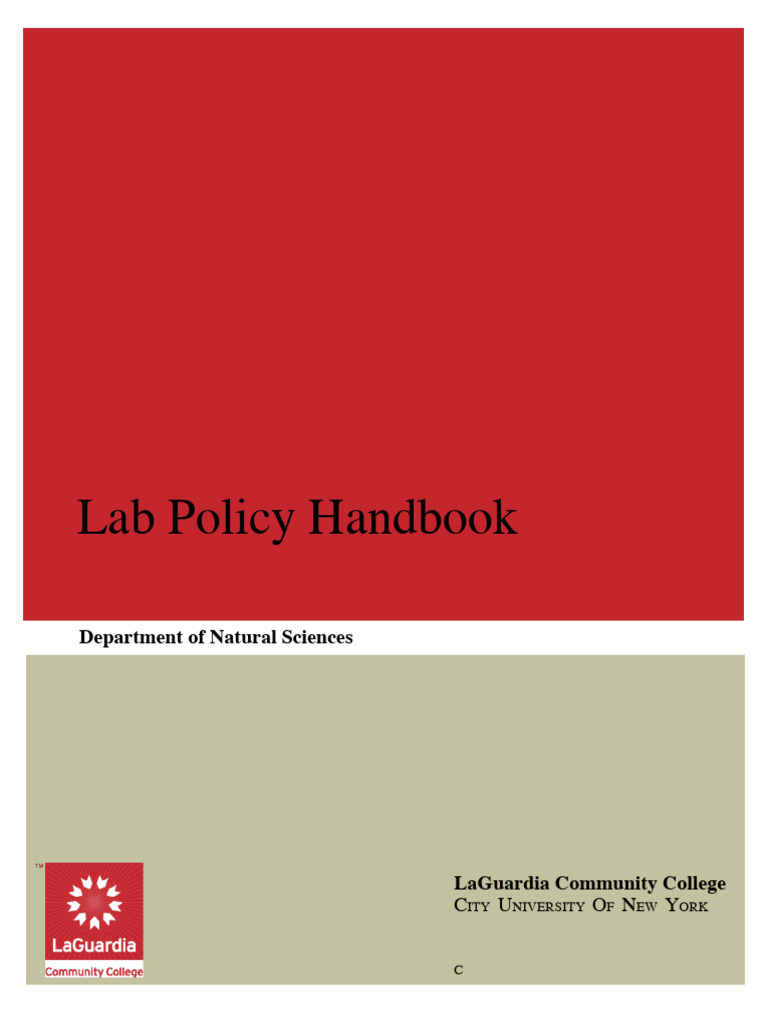 Ns Lab Policy Handbook Final | PDF