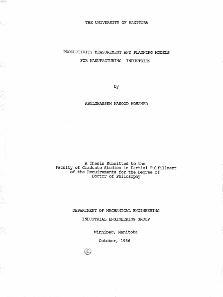 Mohamed Productivity Measurement | PDF