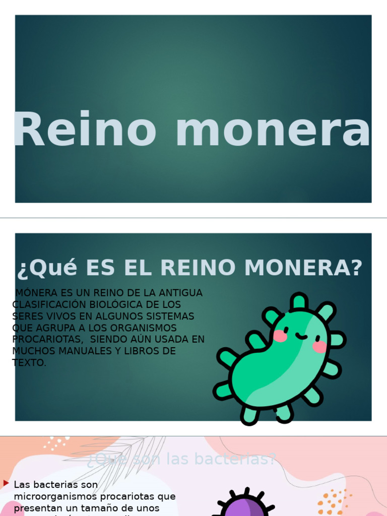 Reino Monera | PDF