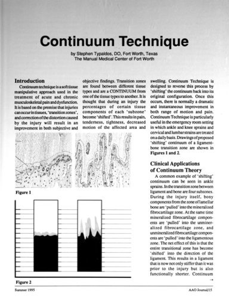 FDM Continuum Distortion | PDF